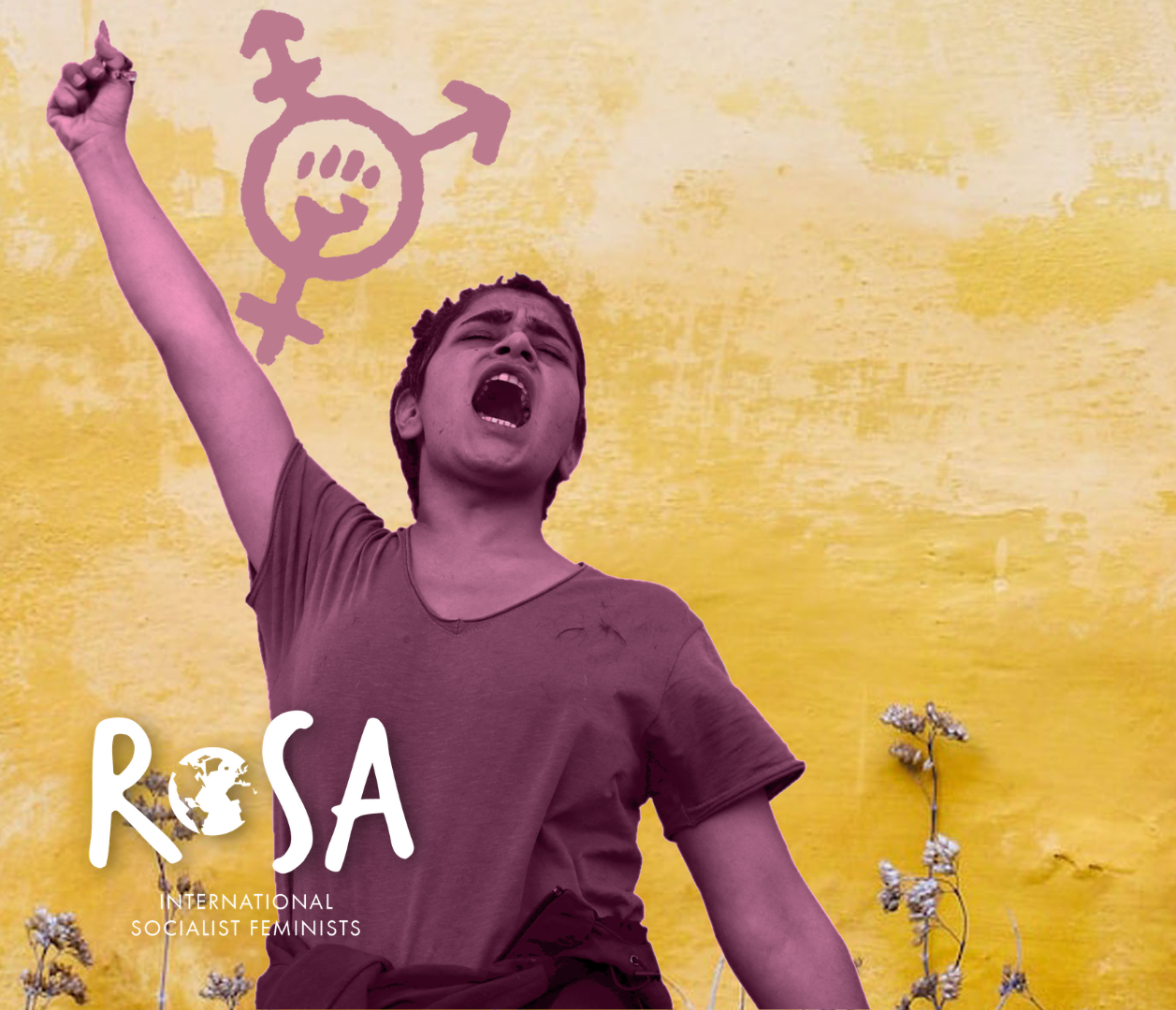 Aidez-nous à collecter 5 000 € pour permettre la concrétisation de la première conférence ROSA internationale !